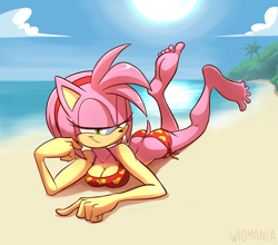 Size: 4100x3600 | Tagged: suggestive, artist:wigmania, amy rose, bikini
