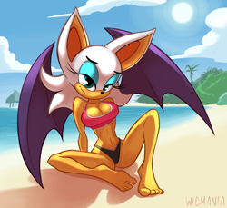 Size: 3600x3300 | Tagged: suggestive, artist:wigmania, rouge the bat, bikini, swimsuit