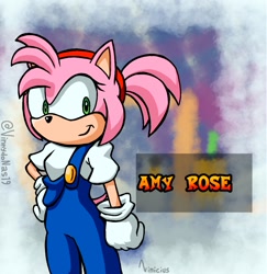 Size: 1210x1244 | Tagged: safe, artist:vinnydonas19, amy rose, coco bandicoot, cosplay