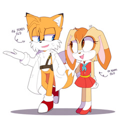 Size: 917x871 | Tagged: safe, artist:stuwor-art, cream the rabbit, miles "tails" prower, duo, female, hand in pocket, looking at each other, male, mouth open, older, older cream, older tails, open smile, simple background, white background
