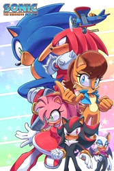 Size: 1439x2160 | Tagged: safe, artist:droffagner, amy rose, knuckles the echidna, miles "tails" prower, rouge the bat, sally acorn, shadow the hedgehog, sonic the hedgehog, bat, chipmunk, echidna, fox, hedgehog, archie sonic online, aircraft, biplane, english text, female, group, male, vehicle