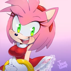 Size: 1080x1080 | Tagged: safe, artist:janesheep, amy rose