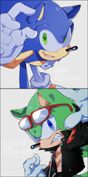 Size: 500x1000 | Tagged: dead source, safe, artist:syesye996, scourge the hedgehog, sonic the hedgehog, character name, duo, frown, looking at viewer, reaching out, reaching towards the viewer, smile, smiling at viewer, text
