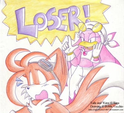 Size: 600x544 | Tagged: safe, artist:milestailsprower-007, miles "tails" prower, wave the swallow, 2006, dialogue, duo, english text, l sign, lidded eyes, mouth open, simple background, smile, sonic riders, surprised, text, traditional media, white background