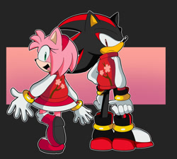 Size: 1024x922 | Tagged: safe, artist:swift-kwikster, amy rose, shadow the hedgehog, 2025, abstract background, alternate outfit, clothes, duo, from behind, frown, hand on hip, jacket, looking at viewer, looking back, looking back at viewer, outline, smile, varsity jacket