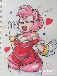Size: 576x768 | Tagged: suggestive, artist:b_werehognsfw, amy rose, bra, cleavage