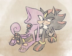 Size: 1164x913 | Tagged: safe, artist:aleespace-art, espio the chameleon, shadow the hedgehog, 2025, :o, barefoot, duo, gay, gloves off, gradient background, holding them, looking at each other, pawpads, paws, shadpio, shipping, smile