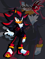 Size: 1571x2047 | Tagged: safe, artist:c0denamechaos, shadow the hedgehog, 2025, alternate outfit, chest fluff, clothes, echo background, frown, gender swap, jacket, looking at viewer, shadow the hedgehog (video game), shadow's logo, solo, standing, zip