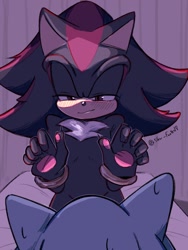 Size: 768x1024 | Tagged: safe, artist:slow_footed8, shadow the hedgehog, sonic the hedgehog, 2025, duo, gay, gloves off, looking at each other, looking at them, pawpads, shadow x sonic, shipping