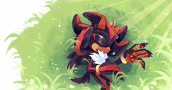 Size: 2048x1077 | Tagged: safe, artist:justashedd, shadow the hedgehog, hedgehog, 2025, claws, eyes closed, gloves off, grass, lying down, lying on side, outdoors, pawpads, sleeping, solo, sparkles