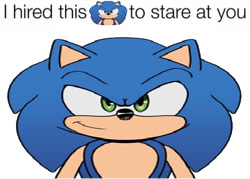 Size: 498x356 | Tagged: safe, artist:multiisketch, sonic the hedgehog, hedgehog, 2025, flat colors, front view, i hired this x to stare at you, looking at viewer, meme, simple background, smile, solo, text, white background