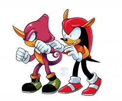 Size: 1280x1061 | Tagged: safe, artist:finimun, espio the chameleon, mighty the armadillo, 2017, duo, looking at them, looking offscreen, simple background, standing, white background