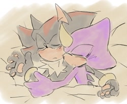 Size: 1378x1123 | Tagged: safe, artist:aleespace-art, espio the chameleon, shadow the hedgehog, gay, pawpads, paws, shadpio, shipping, sleeping