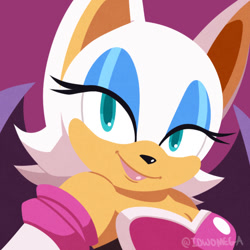 Size: 700x700 | Tagged: safe, artist:idwomega, rouge the bat, icon, looking at viewer, signature, smile