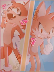 Size: 768x1024 | Tagged: safe, artist:bluetyrant, sonic origins, alternate version, fox bully