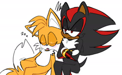 Size: 1778x1101 | Tagged: safe, artist:ilovetails, artist:insaneaboutthislittlefox, miles "tails" prower, shadow the hedgehog, 2025, arms folded, cute, duo, eyes closed, frown, gay, leaning on them, lidded eyes, mouth open, shadow x tails, shadowbetes, shipping, simple background, sitting, sleeping, tailabetes, white background, zzz