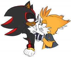 Size: 1956x1565 | Tagged: safe, artist:ilovetails, artist:insaneaboutthislittlefox, miles "tails" prower, nine, shadow the hedgehog, sonic prime, 2025, arm fluff, clenched teeth, duo, ear fluff, floppy ears, frown, gay, lidded eyes, looking at each other, nine x shadow, pointing, shadow x tails, shipping, simple background, white background