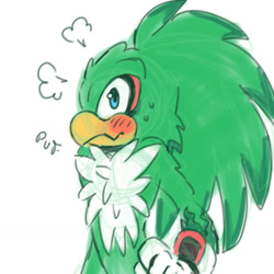 Size: 1280x1280 | Tagged: safe, artist:takosa, jet the hawk, 2025, blushing, chest fluff, signature, simple background, solo, surprised, sweatdrop, white background