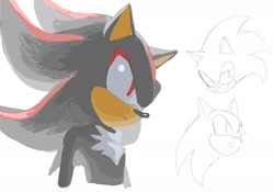 Size: 1592x1112 | Tagged: safe, artist:3i8akira, shadow the hedgehog, sonic the hedgehog, 2025, duo, looking offscreen, simple background, white background