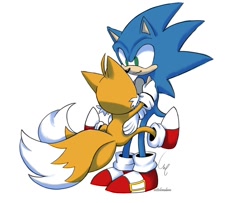 Size: 1200x976 | Tagged: safe, artist:vettelemdam, miles "tails" prower, sonic the hedgehog, 2023, carrying them, duo, holding each other, looking at each other, signature, simple background, smile, standing, white background