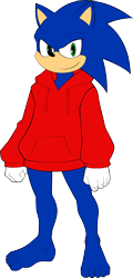 Size: 971x2029 | Tagged: safe, artist:darkshiner8, sonic the hedgehog, 2022, barefoot, flat colors, hoodie, solo