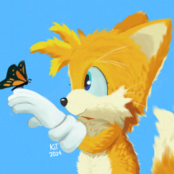 Size: 1280x1280 | Tagged: safe, artist:tailsgender, miles "tails" prower, 2024, blue background, bug, butterfly, eyelashes, lineless, literal animal, looking at something, signature, simple background, smile, solo, standing, whiskers