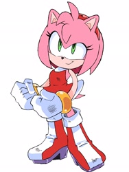 Size: 1536x2048 | Tagged: safe, artist:randomguy9991, amy rose