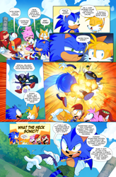 Size: 3000x4578 | Tagged: safe, artist:drawloverlala, amy rose, bokkun, knuckles the echidna, miles "tails" prower, sally acorn, sonic the hedgehog, chipmunk, echidna, fox, hedgehog, hybrid, comic:sonic world travel, angel island, au:sonic world travel, blanket, blue power pattern, cyan power pattern, grapes, kitsune, pink power pattern, red power pattern, robot, sandwich, yellow power pattern