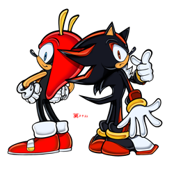 Size: 2250x2250 | Tagged: safe, artist:origanlgaming, mighty the armadillo, shadow the hedgehog, 2022, duo, frown, hands on hips, looking at viewer, looking back, looking back at viewer, pointing, signature, simple background, smile, standing, uekawa style, white background