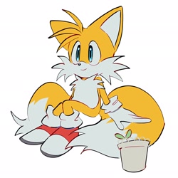 Size: 2048x2048 | Tagged: safe, artist:mok35_, miles "tails" prower, 2025, flat colors, looking offscreen, plant, plant pot, simple background, sitting, smile, solo, white background