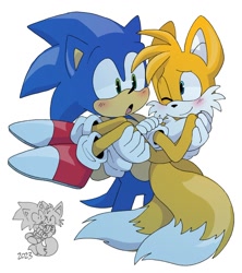 Size: 986x1111 | Tagged: safe, artist:pachirizuu, miles "tails" prower, sonic the hedgehog, 2025, carrying them, duo, gay, redraw, reference inset, shipping, simple background, sonic x tails, white background