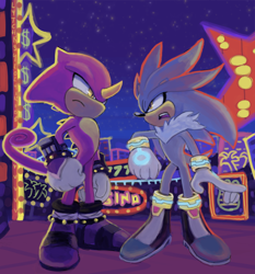 Size: 812x873 | Tagged: safe, artist:ok0wwy7, espio the chameleon, silver the hedgehog, 2024, abstract background, frown, looking at each other, nighttime, outdoors, sonic rivals 2, standing, star (sky)