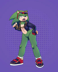 Size: 1632x2000 | Tagged: safe, artist:carboncoal, scourge the hedgehog, hedgehog, abstract background, blue eyes, chain, fingerless gloves, glasses, glasses on head, green fur, jacket, male, shoes, socks, solo