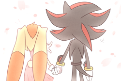 Size: 3000x2000 | Tagged: safe, artist:luckyclau, cream the rabbit, shadow the hedgehog, 2019, age difference, aged up, back view, belt, duo, flat colors, holding hands, looking offscreen, older, pointing, shadream, shipping, simple background, standing, straight