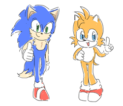 Size: 631x540 | Tagged: safe, artist:soguri1110, miles "tails" prower, sonic the hedgehog, fox, hedgehog, 2025, cute, duo, flat colors, looking at viewer, mouth open, pointing, simple background, smile, species swap, standing, thumbs up, white background