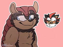 Size: 771x579 | Tagged: safe, artist:blitztheinkling, mighty the armadillo, shadow the hedgehog, 2024, blushing, duo, fluffy, gay, head only, looking at them, looking offscreen, mightadow, outline, pink background, shipping, signature, simple background, smile