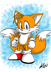 Size: 2480x3508 | Tagged: safe, artist:crazywackybonkerz, miles "tails" prower, 2013, clenched fists, looking at viewer, nike mouth, signature, smile, standing