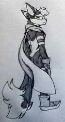 Size: 377x705 | Tagged: safe, artist:xisou, oc, oc:xishou the jackal, pencilwork, solo, traditional media