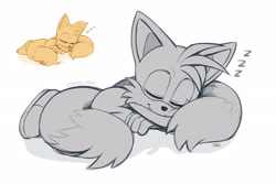 Size: 2048x1365 | Tagged: safe, artist:thatbirdguy_, miles "tails" prower, 2025, cute, eyes closed, greyscale, lying down, lying on front, monochrome, redraw, reference inset, simple background, sleeping, smile, solo, white background, zzz