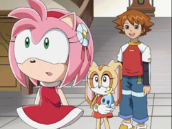 Size: 997x750 | Tagged: safe, amy rose, cheese (chao), chris thorndyke, cream the rabbit, chao, hedgehog, human, rabbit, confused, flower, flower in ear, human male, male, screencap, screenshot, sonic x, surprised