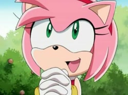 Size: 578x431 | Tagged: safe, amy rose, hedgehog, amybetes, cute, female, happy, screencap, screenshot, solo, sonic x