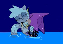 Size: 2048x1431 | Tagged: safe, artist:fernsstories, espio the chameleon, tangle the lemur, lemur, chameleon, duo, espio x tangle, shipping, straight