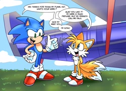 Size: 2024x1465 | Tagged: safe, artist:melodyclerenes, miles "tails" prower, sonic the hedgehog, abstract background, duo, scene interpretation, sonic x