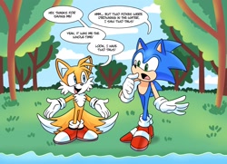 Size: 2024x1465 | Tagged: safe, artist:melodyclerenes, miles "tails" prower, sonic the hedgehog, abstract background, duo, scene interpretation, sonic the comic