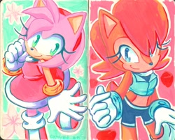 Size: 2048x1644 | Tagged: safe, artist:k3llywolfarts, amy rose, sally acorn, chipmunk, hedgehog, 2025, abstract background, acorn, cute, duo, female, flower, friendship, looking at viewer, outline, smile, standing