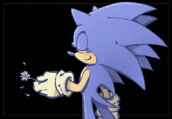Size: 1114x776 | Tagged: safe, artist:candycatstuffs, sonic the hedgehog, 2025, black background, eyes closed, flower, holding something, petal, simple background, smile, solo, standing