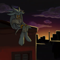 Size: 2048x2048 | Tagged: safe, artist:vocochair, silver the hedgehog, 2025, abstract background, barefoot, clouds, frown, lidded eyes, looking offscreen, outdoors, roof, sitting, solo, sunset
