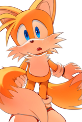 Size: 401x600 | Tagged: dnp, safe, artist:aogirinaru, miles "tails" prower, fox, cute, male, simple background, solo