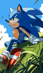 Size: 600x1015 | Tagged: safe, artist:ghostzero1420, sonic the hedgehog, fanfic:no shadow left to chase, 2025, abstract background, clouds, daytime, deviantart watermark, fanfiction art, grass, grass blade, lidded eyes, looking offscreen, outdoors, sitting, smile, solo, watermark