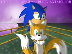 Size: 1000x757 | Tagged: safe, artist:furryskater, miles "tails" prower, sonic the hedgehog, 2009, abstract background, age difference, duo, fence, frown, gay, grass, hugging, hugging from behind, looking ahead, looking offscreen, outdoors, shipping, signature, smile, sonic x tails, standing